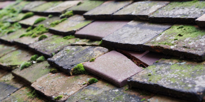 Weston Rhyn roof repair costs